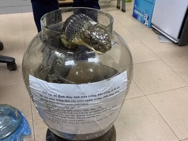 Giet ran ho chua nang gan 10 kg, nguoi phu nu bi khoi to