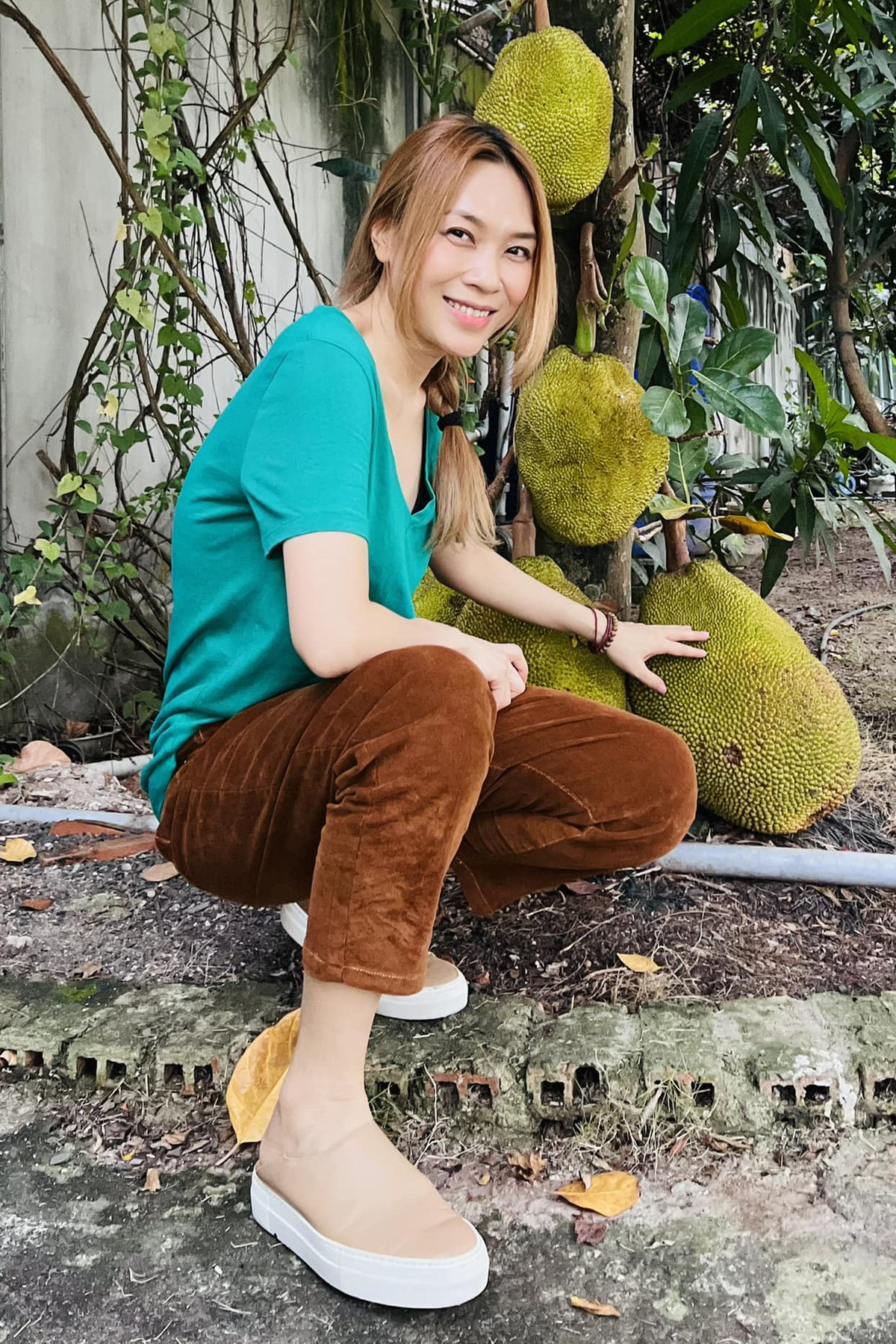 Ca sĩ Mỹ Tâm mặc giản dị ra vườn hái mít.