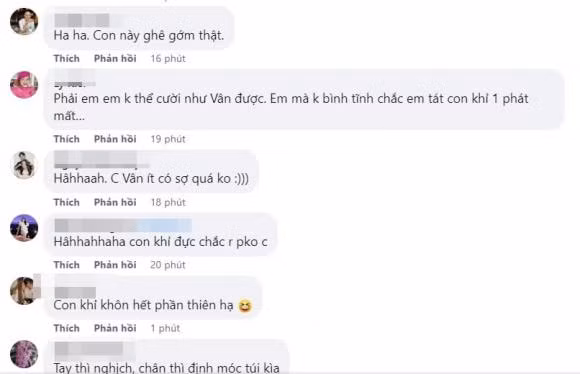 Cư dân mạng bình luận về clip của Vân Hugo.