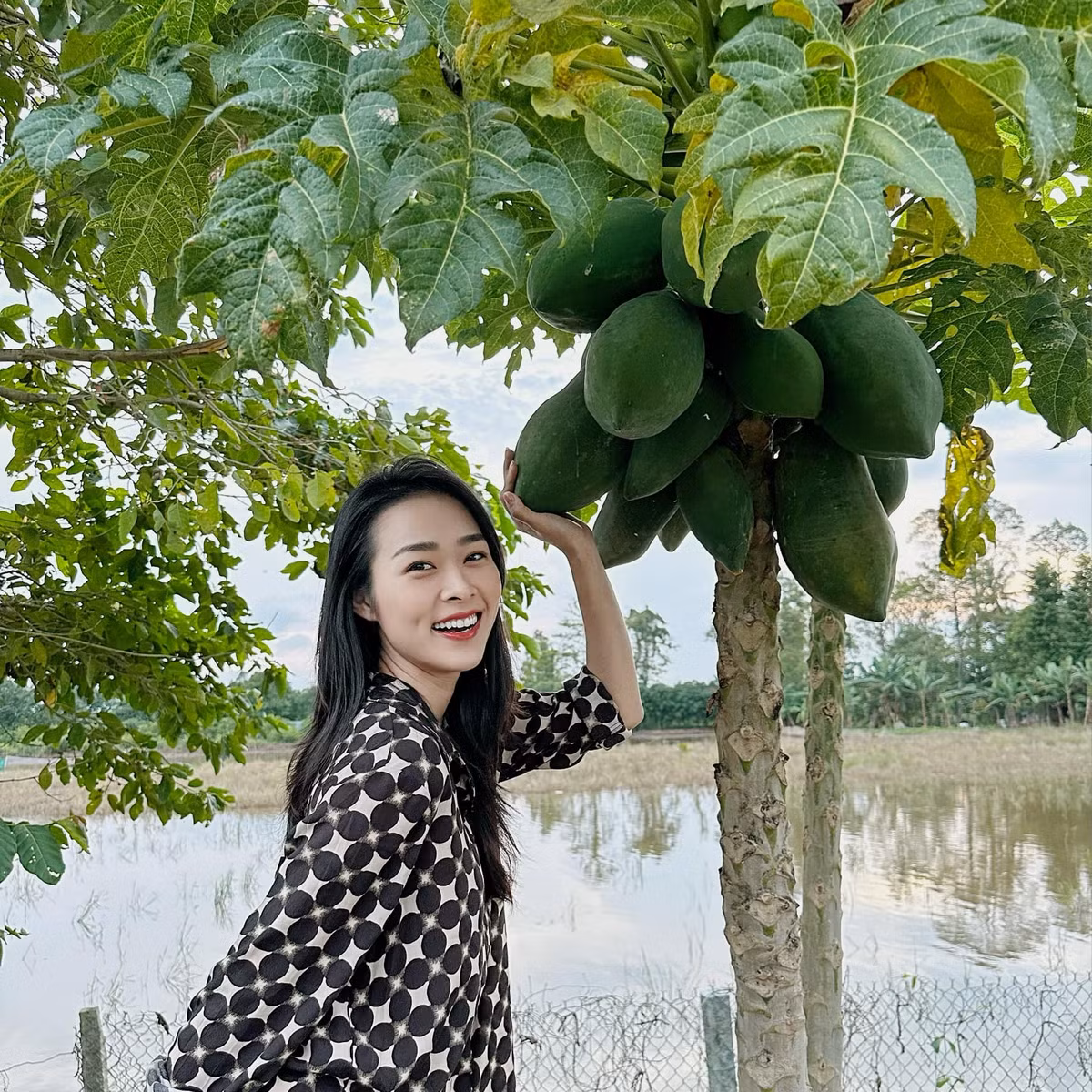 Diễn viên Diệp Bảo Ngọc thích cây đu đủ sai quả ở phim trường.