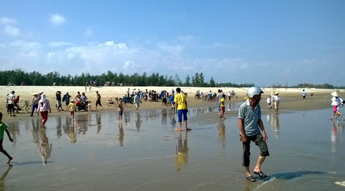 Người dân đến xem cá voi chết rất đông.