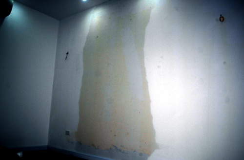 Bức tường bị ngấm nước của căn hộ 1203.