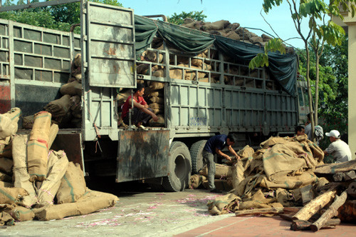 Chiếc xe tải chở gỗ trắc bị cơ quan chức năng bắt.