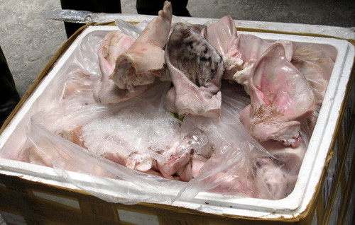 Tai lợn thối bị tổ công tác liên ngành phát hiện.