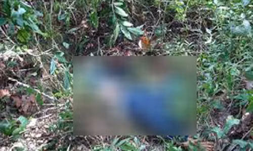 Ảnh minh họa. (Theo Zing).