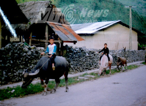 Phố Cáo (Đồng Văn), nơi bộ đội thu được lọ mỡ người từ bọn phỉ.