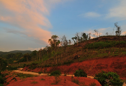 Một góc rừng Măng đen, kontum (ảnh: Trần Anh Tuấn).