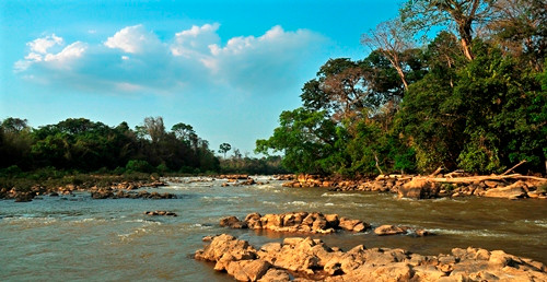 Ngã ba phụ lưu một nhánh sông Đồng Nai chảy qua Đảo Tiên, Nam Cát Tiên (ảnh: Trương Bá Thanh).