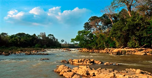 Ngã ba phụ lưu một nhánh sông Đồng Nai chảy qua Đảo Tiên, Nam Cát Tiên (ảnh: Trương Bá Thanh).