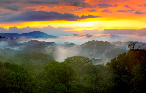 Hoàng hôn rừng Bidoup (ảnh: Tang A Pau).