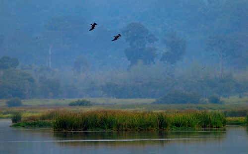 Một góc Bàu Sấu (ảnh: Tang A Pau).