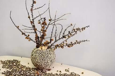 Cây chết. Cây còn sống tượng trưng cho sự tăng trưởng trong phong thủy. Nếu cây trong nhà bạn đang bị héo, rủ xuống hoặc chết, chúng sẽ làm giảm năng lượng trong gia đình bạn. Bạn có thể cảm thấy luôn mệt mỏi, buồn ngủ khi đang làm việc hoặc không có hứng thú với việc gần gũi của vợ chồng.