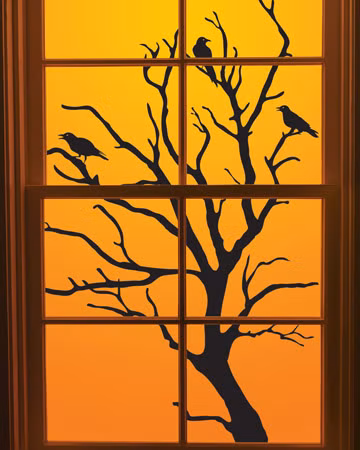 Nếu cây trong nhà chết vì sự thiếu quan tâm, chăm sóc của bạn, hãy bỏ chúng đi, mua những cây mới và chăm sóc chúng cẩn thận. Còn nếu cây chết vì bạn mang số “sát cây” thì không nên trưng cây trong nhà.