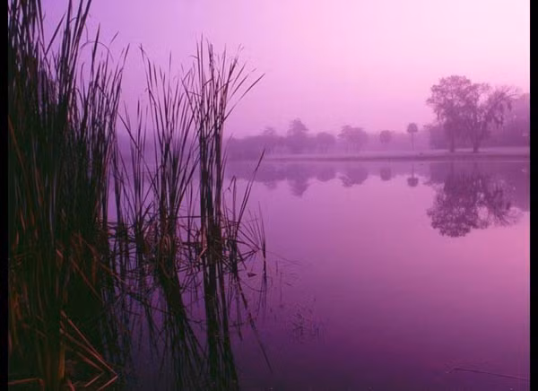 5. Công viên quốc gia Everglades, Mỹ. Khu công viên rộng tới 1,5 triệu mẫu này nằm ở bang Florida, với hơn 14.000 hòn đảo nhỏ và 8.000 trong số đó là đảo nhân tạo, ra đời từ 500 năm trước. Năm 1992, cơn bão Andrew đã phá hủy nghiêm trọng vùng đầm nước này. Tiếp sau đó là một loạt các hoạt động đô thị hóa và nông nghiệp trong vùng diễn ra, đe dọa thay đổi nhịp sống của hệ động, thực vật trong khu vực.