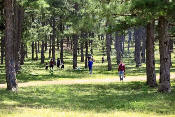 Nơi đây có khá nhiều điểm dừng chân thú vị cho du khách như thành phố Đà Lạt với hồ Xuân Hương, hồ Than Thở, các đỉnh núi cao như Lang Biang, Bi Doup… hay những ngọn thác lớn như thác Prenn, Gù Gà, thác Voi, thác Cam Ly…Phong cảnh tại hai vùng cao nguyên này luôn đẹp với hoa nở quanh năm, khí hậu ôn hòa, mê đắm lòng người.