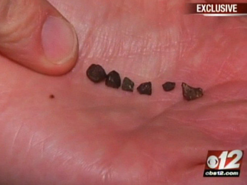 Những mảnh thiên thạch trong vườn nhà ông Wayne.