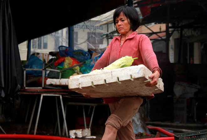 Chay nha cach cho Hoa Hung 50m-Hinh-3