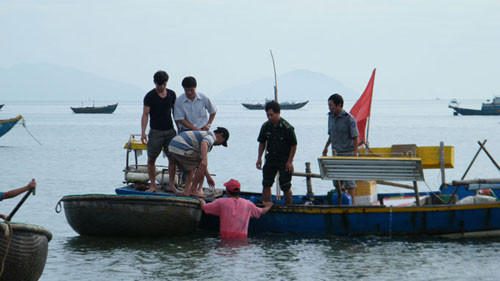 Các đơn vị liên quan tiến hành thả hải cẩu về biển.