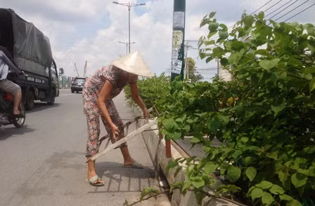 Theo người dân ở đây, đơn vị thi công chỉ mở hàng rào công trình cho người dân chạy về hướng trung tâm quận Thủ Đức từ sau 17h đến sáng hôm sau. Ngoài thời gian đó, người dân sống trong phạm vi công trình này buộc phải chạy về ngã 3 giao với đường số 20 rồi ngược lại đường Kha Vạn Cân về trung tâm quận Thủ Đức.