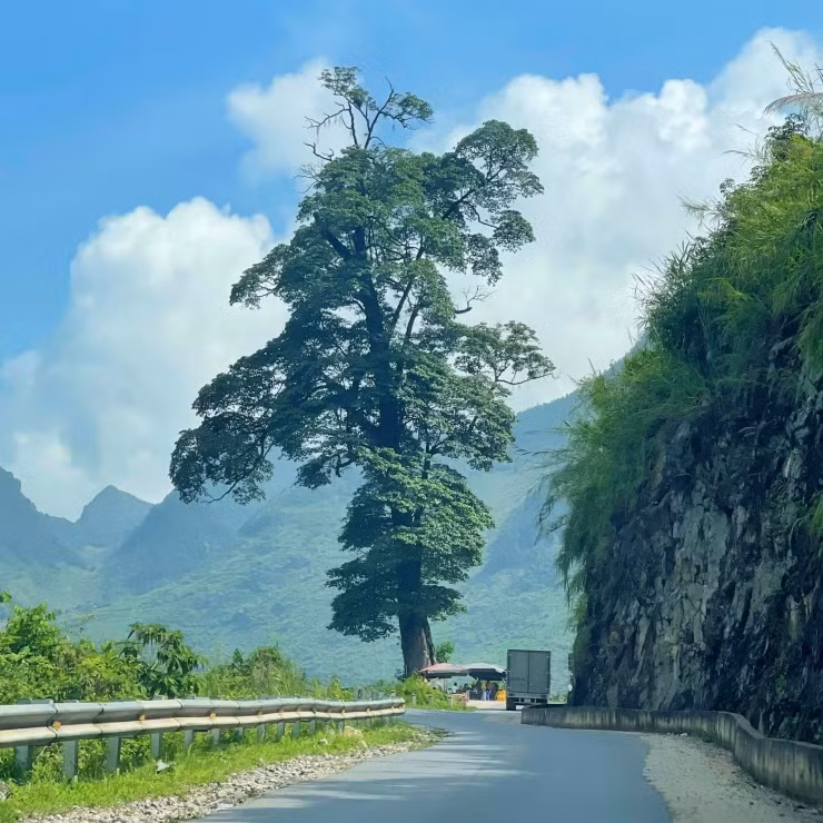 Kham pha Ha Giang: Dam minh trong ve hoang so, nui da hung vi-Hinh-12