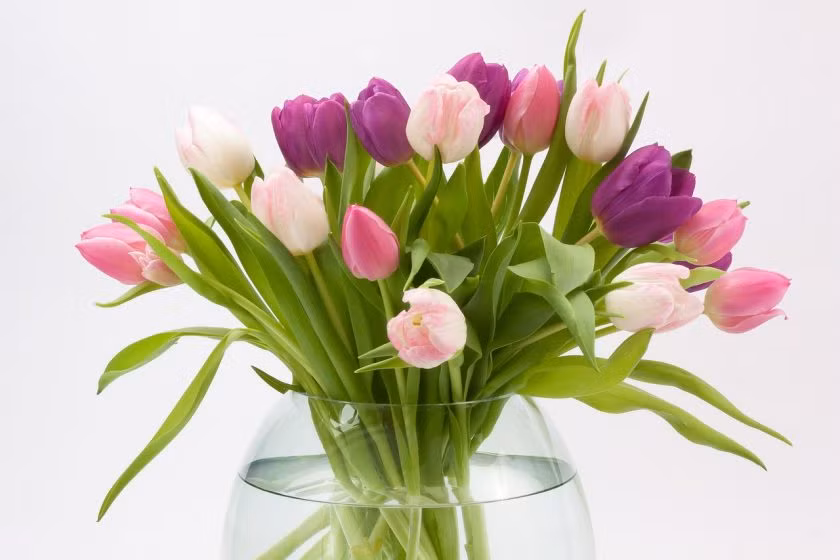 Nguoi sinh vao 5 ngay Am lich nay co duc co tai, gia huong phuc