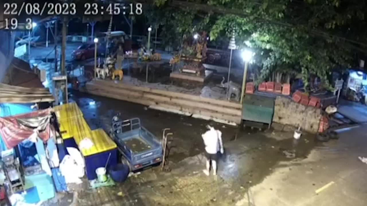 Video: Cây bồ đề 100 tuổi bất ngờ bật gốc, người dân tháo chạy Video: Cay bo de 100 tuoi bat ngo bat goc, nguoi dan thao chay