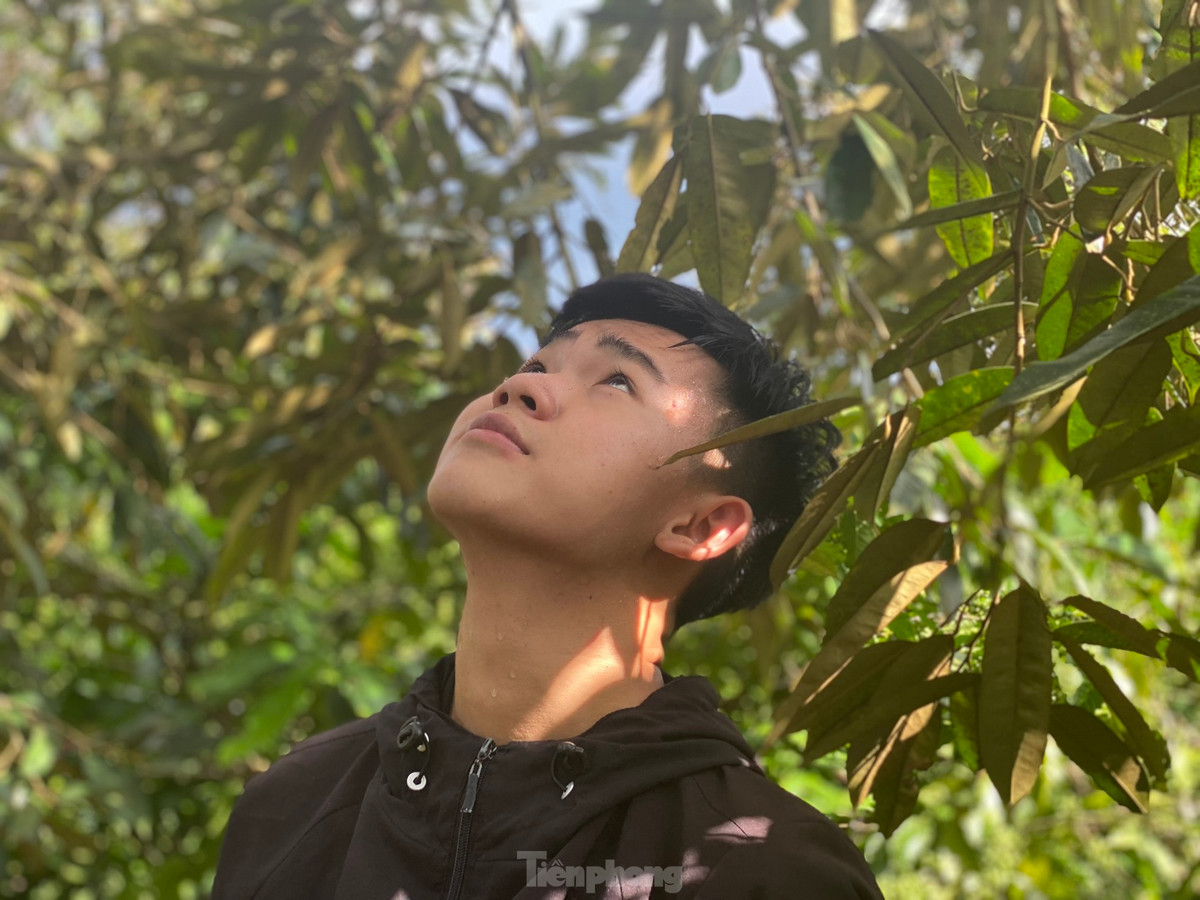 Cùng đội hái thuê, em Bùi Quang Minh (17 tuổi, xã Ea Yông, huyện Krông Pắc) cho hay, để đưa trái sầu riêng từ cao xuống đất, người hứng quả phải phối hợp với thợ "gõ" thật khéo léo và cẩn thận, tránh để trái bị xây xước, dập nát không bán được. Người hứng quả nếu đứng dưới không chú ý quan sát dễ bị cây khô, quả sầu riêng rớt trúng người.