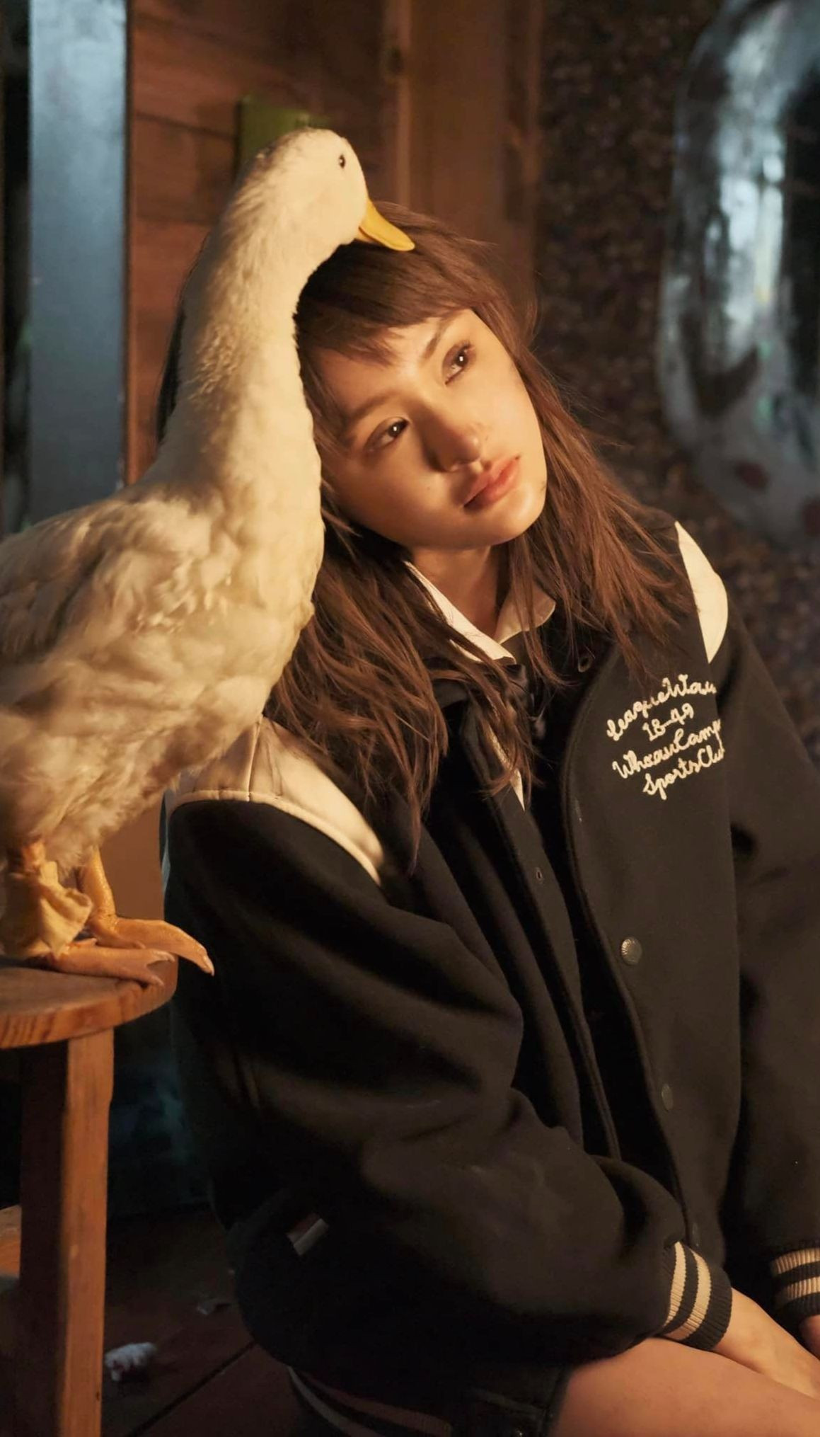 Ai cuu ca si Hien Ho?-Hinh-3