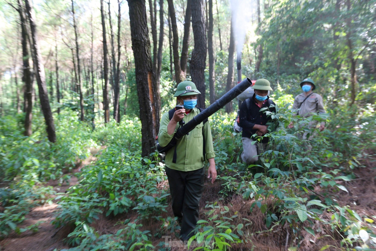 Đến thời điểm này, đơn vị đã phun phòng trừ trung bình 2-4 lần. Riêng những nơi có mật độ sâu 300-400 con/cây, phun thuốc 5-6 lần.