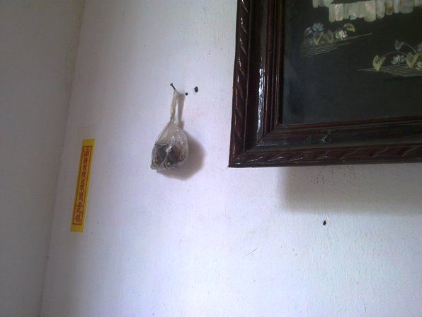 Người thân đã phải dán bùa lên tường nhà để trừ ma tà.