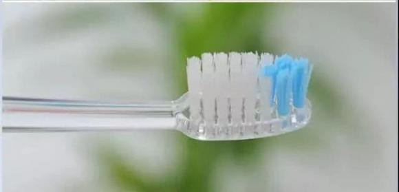 Ban chai danh rang dung bao lau thi nen thay?-Hinh-4