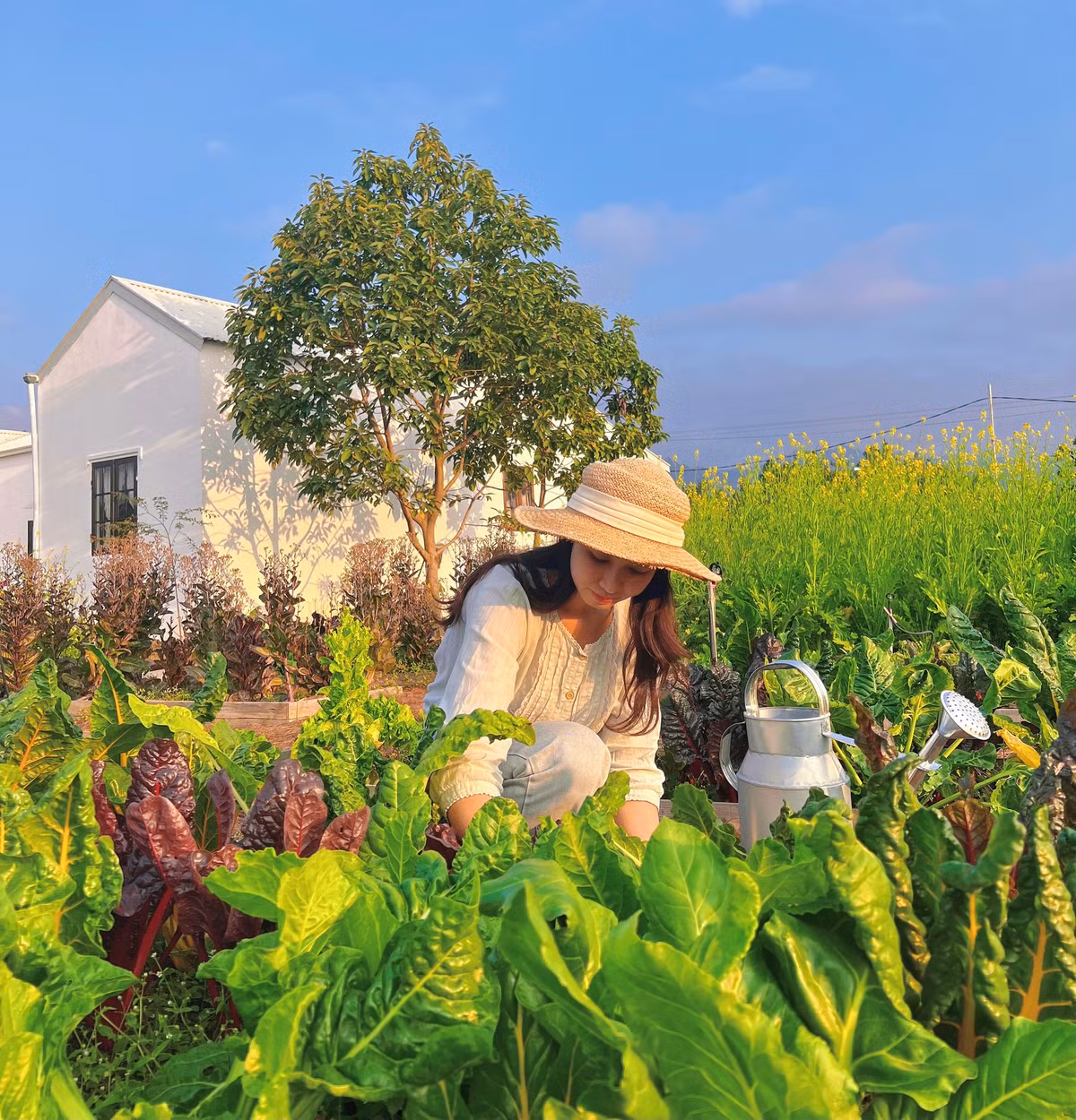 Co gai ve Moc Chau chi 300 trieu cai tao nha kho thanh homestay-Hinh-6