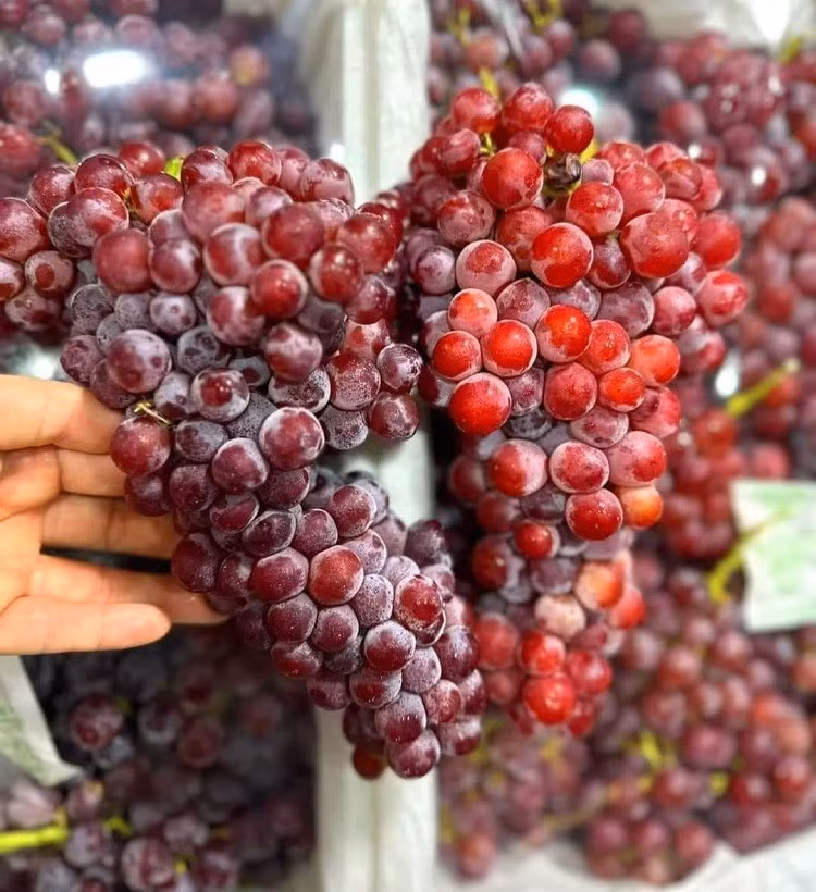 Nho Trung Quốc đổ bộ chợ Việt với giá rẻ hơn rau ảnh 1