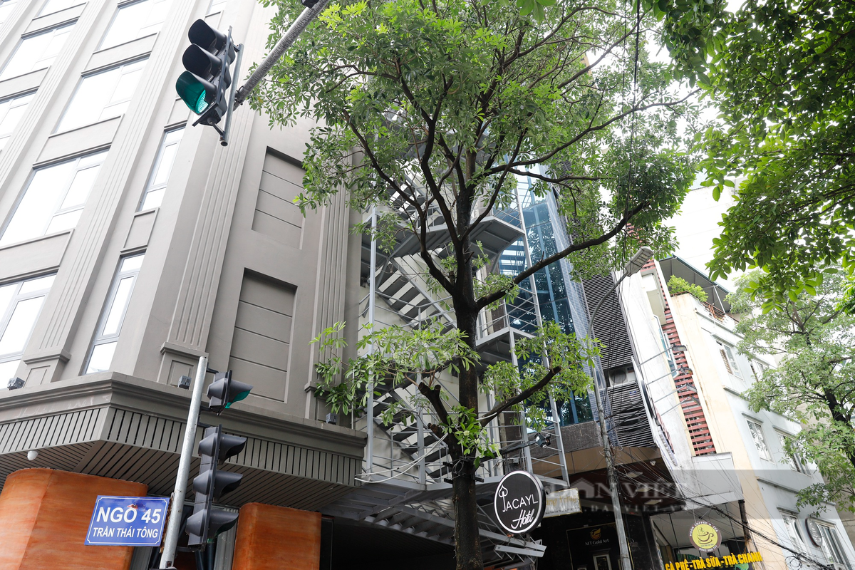 Chủ khách sạn trong ngõ 45 đường Trần Thái Tông (quận Cầu Giấy) chi khoảng100 triệu đồng để lắp đặt thang thoát hiểm.