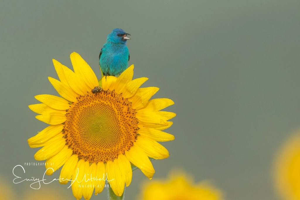 Truoc Ram thang 8 Am, van may cua tuoi Ty bat dau khoi dong-Hinh-2