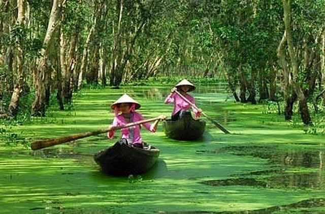 Checkin Dong Thap - Dat Sen hong-Hinh-4