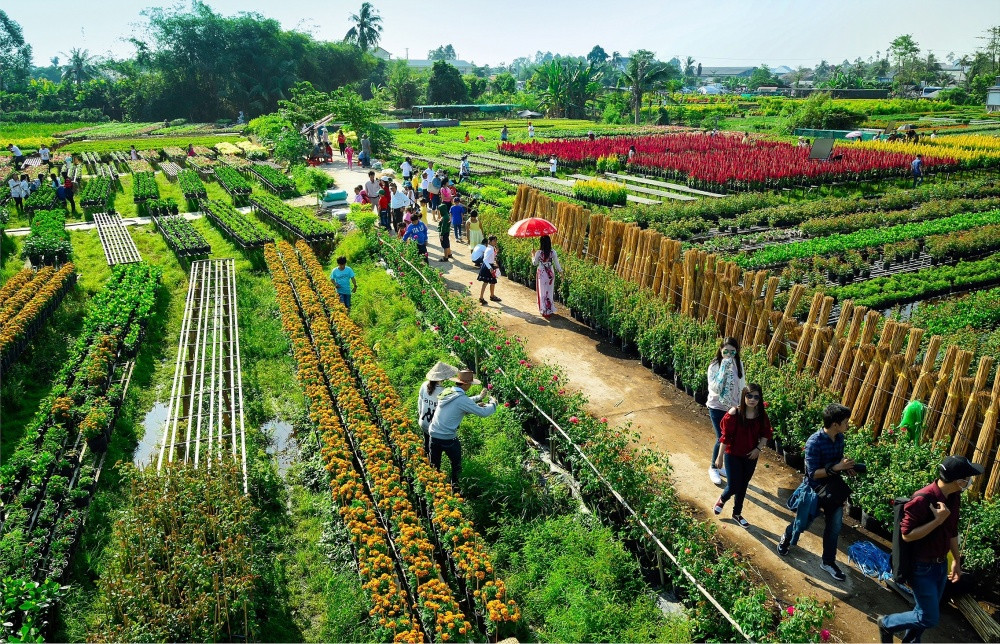 Checkin Dong Thap - Dat Sen hong-Hinh-2