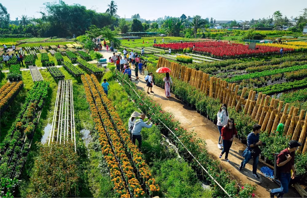 Checkin Dong Thap - Dat Sen hong-Hinh-2