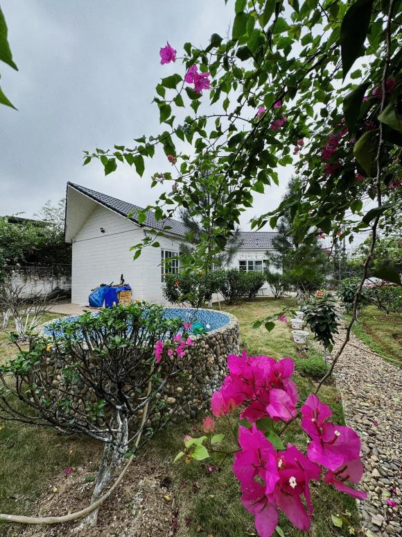 'Đạt điên - Biệt dược đen': Trong phim là 'báo thủ', ngoài đời xây biệt thự - Hình 11 'Dat dien - Biet duoc den': Trong phim la 'bao thu', ngoai doi xay biet thu-Hinh-11