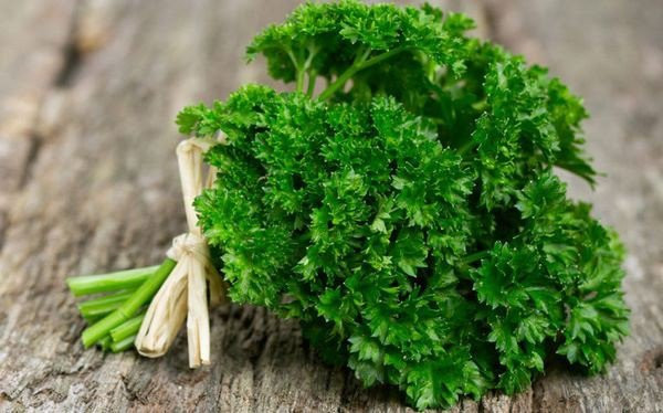 Loại rau được ví như loại thuốc của thiên nhiên, mọc đầy vườn ảnh 1