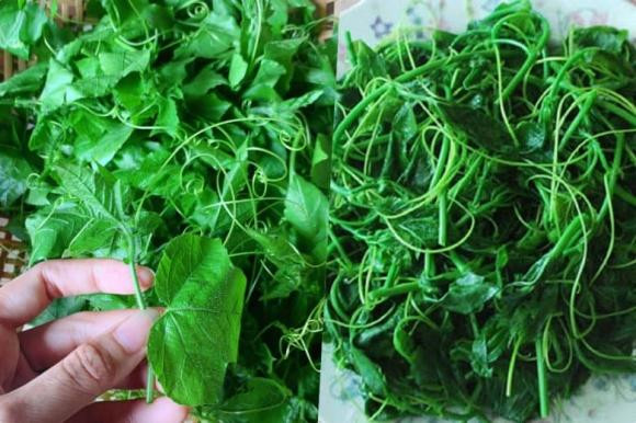 Loai rau khi rua voi nuoc tao bot nhu xa phong-Hinh-4