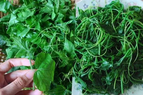 Loai rau khi rua voi nuoc tao bot nhu xa phong-Hinh-4