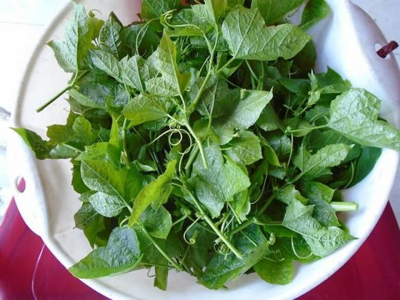 Loai rau khi rua voi nuoc tao bot nhu xa phong-Hinh-3