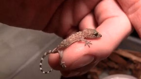 Con tac ke co lai lich nhu the nao?-Hinh-4