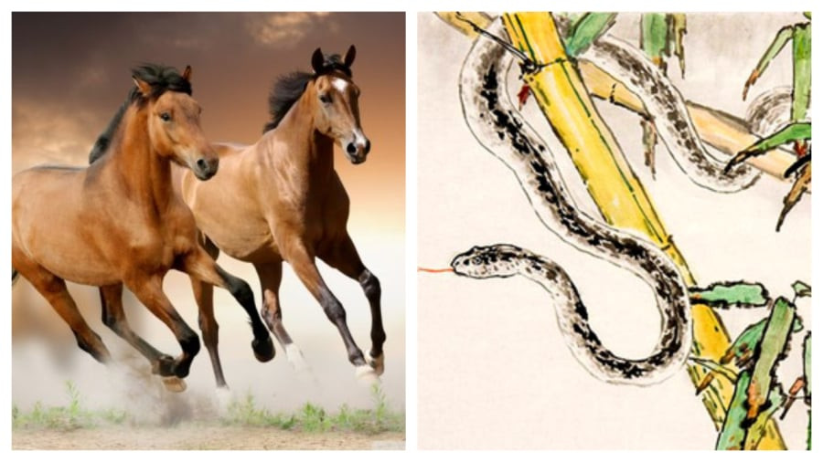 Trong tính cách của người tuổi Thân luôn có sự sắc bén trong tư duy cho phép họ luôn tìm cách cải thiện tình huống hiện tại và họ luôn đầy động lực để đạt được mục tiêu.