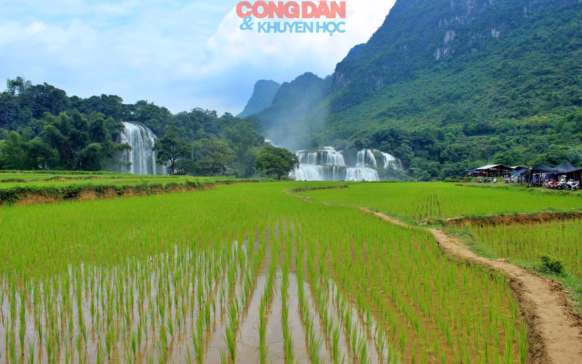 Ngoan muc canh quan thac Ban Gioc xanh ngat mien bien cuong-Hinh-2