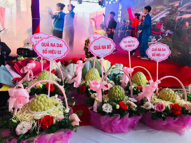 Loại cây xưa bị chặt bỏ mang đấu giá 100 triệu đồng/quả - Hình 5 Loai cay xua bi chat bo mang dau gia 100 trieu dong/qua-Hinh-5