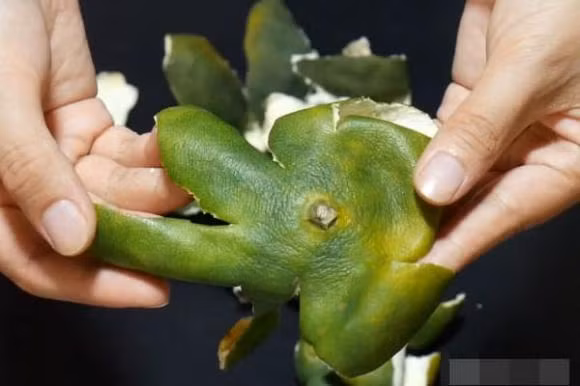 Vo cam khong phai la rac, cho vao noi hap chin-Hinh-6