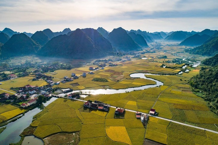 Toa do “san” mua lua chin dep nhat Viet Nam-Hinh-4