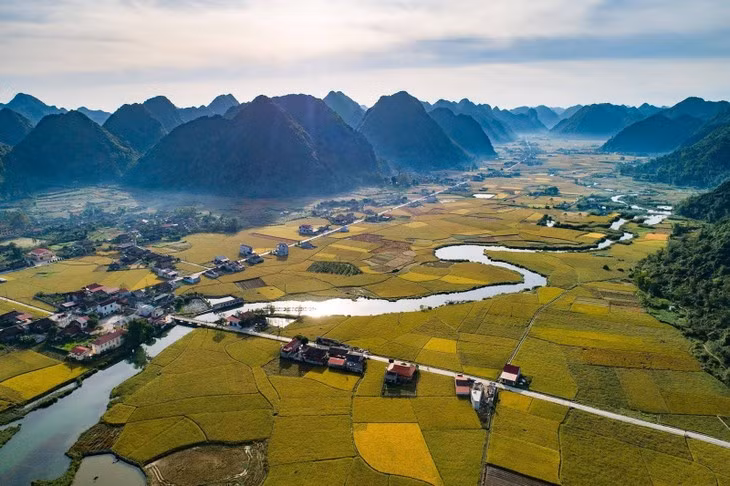 Toa do “san” mua lua chin dep nhat Viet Nam-Hinh-4